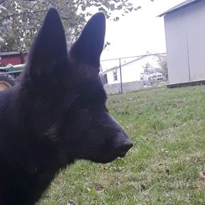 Meet your Posher, Ava